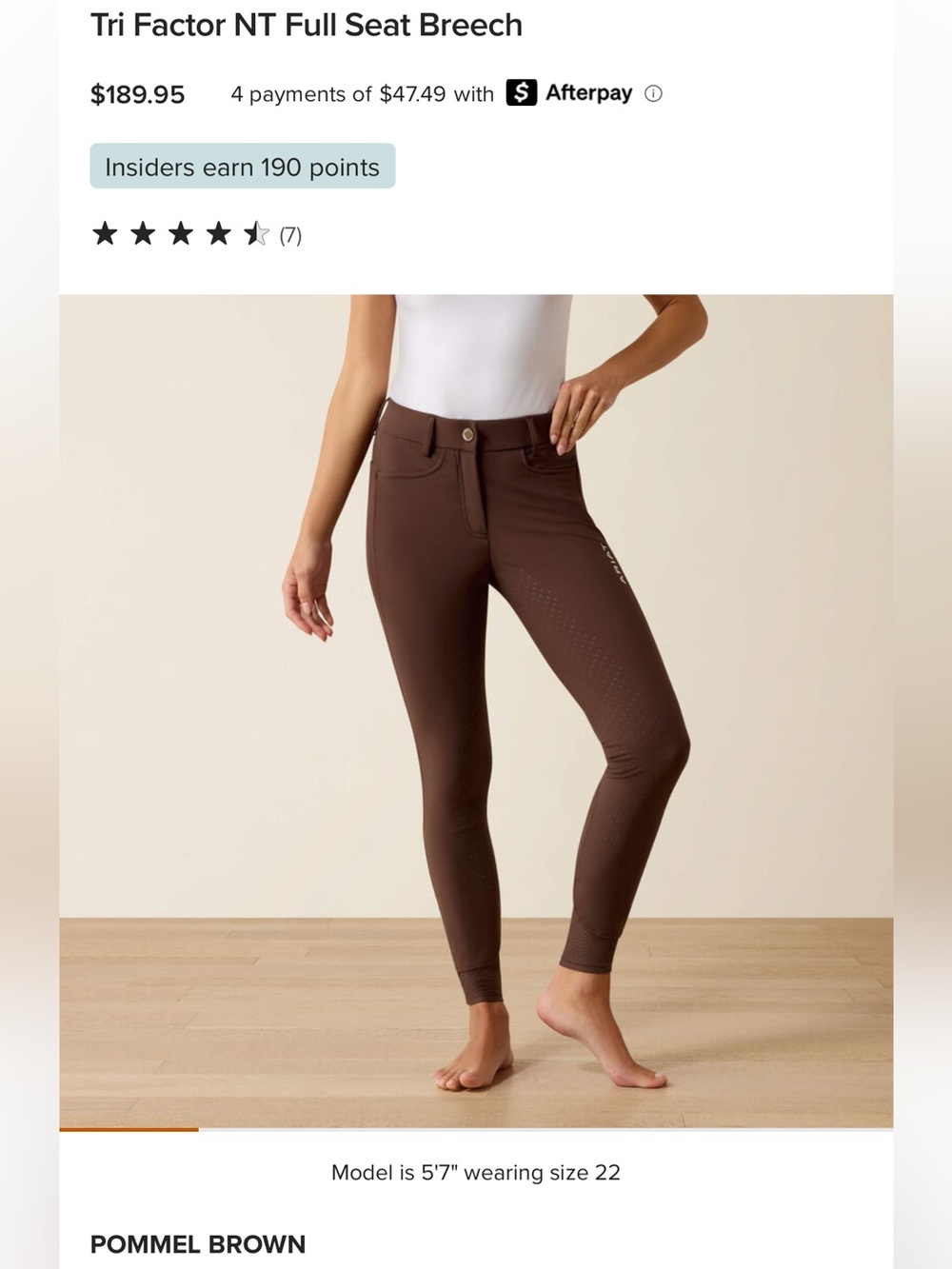 POMMEL BROWN Ariat Breeches - Tri Factor NT Full Seat Breech